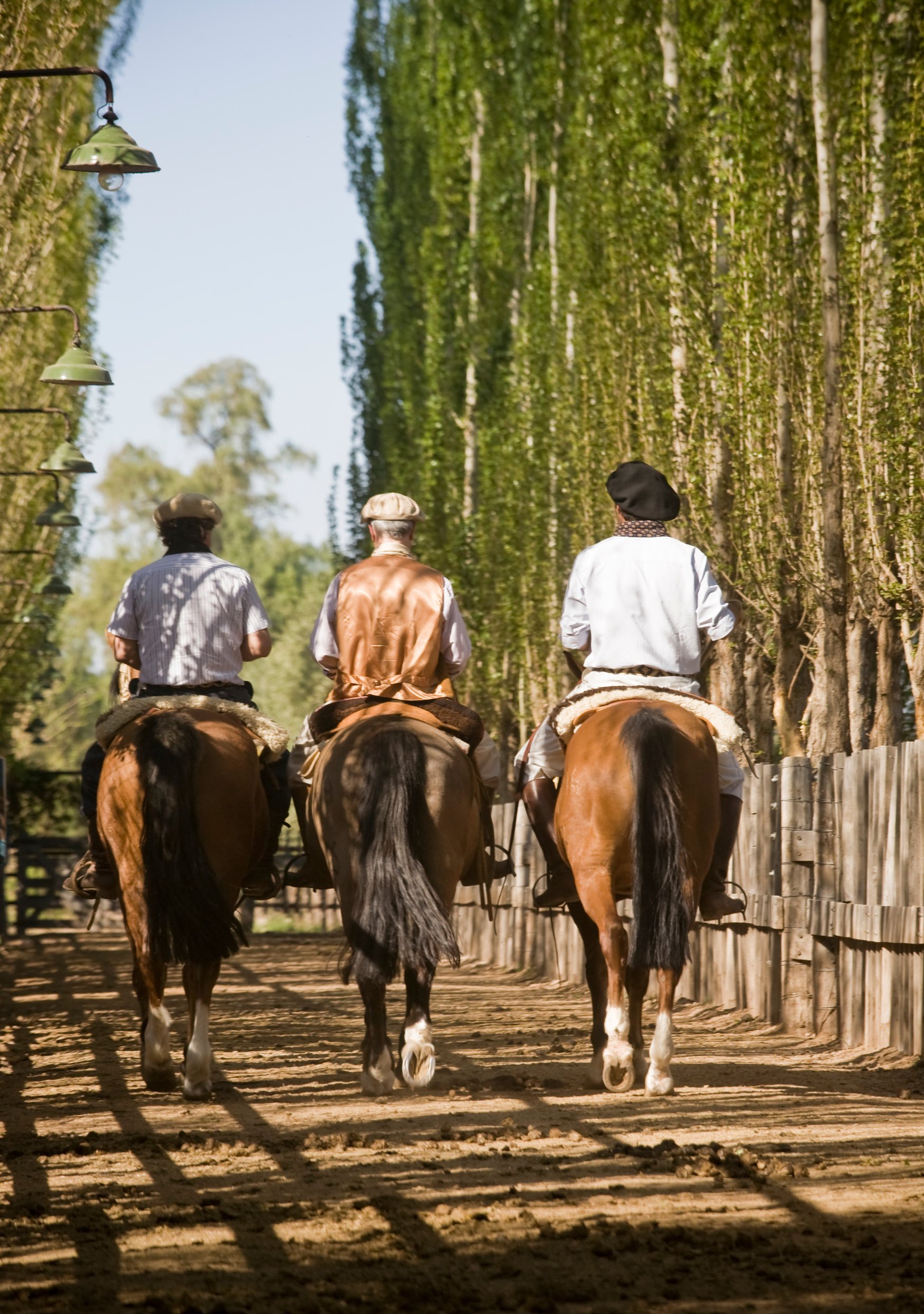 Gauchos